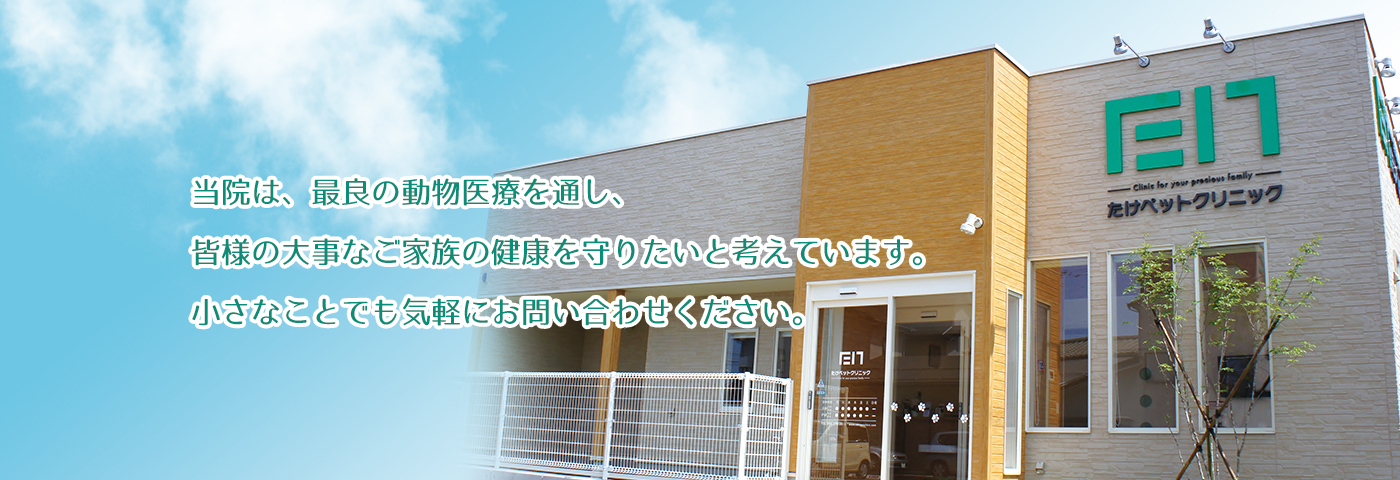 当院は、最良の動物医療を通し、皆様の大事なご家族の健康を守りたいと考えています。小さなことでも気軽にお問い合わせください。